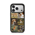iPhone-17-Pro-Silver