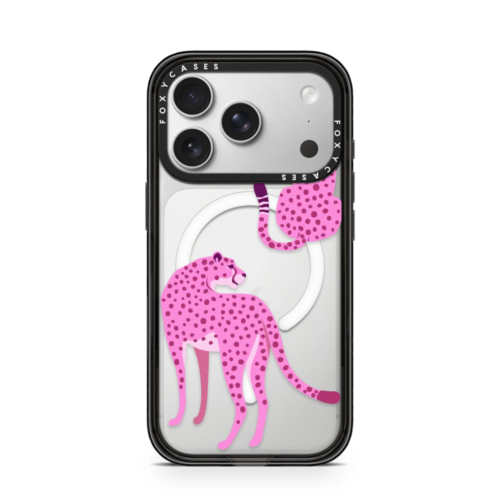 iPhone-17-Pro-Silver