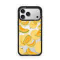 iPhone-17-Pro-Max-Silver