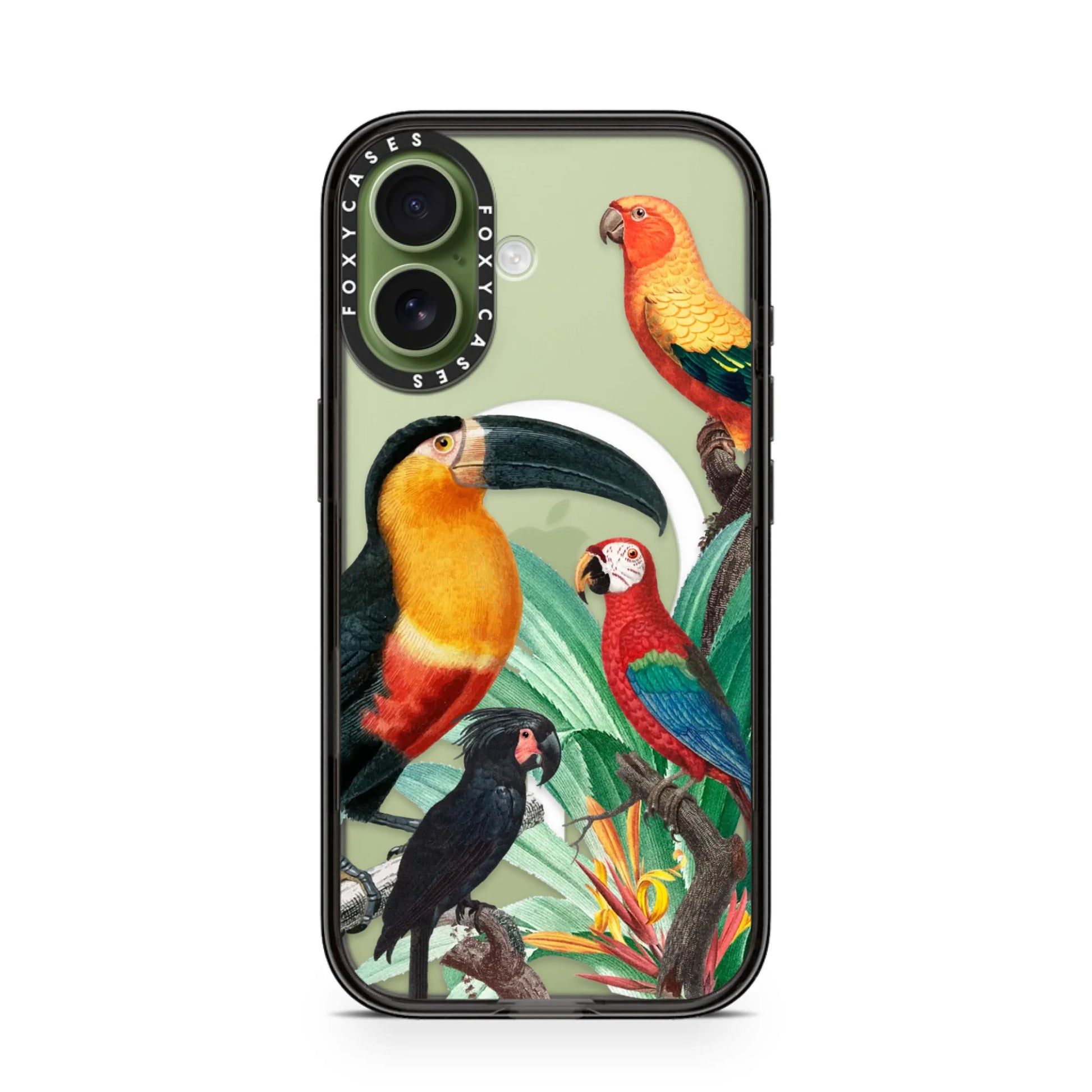 iPhone-17-Sage