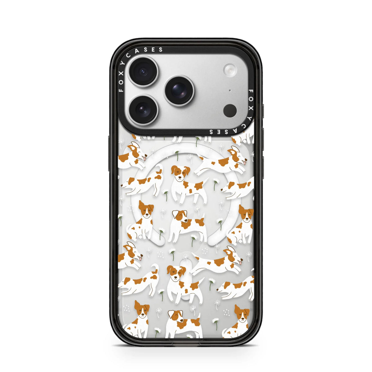 iPhone-17-Pro-Silver
