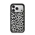 iPhone-17-Pro-Silver