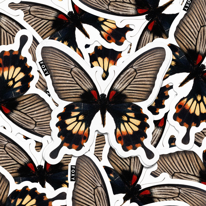 Common Rose Butterfly  - Sticker