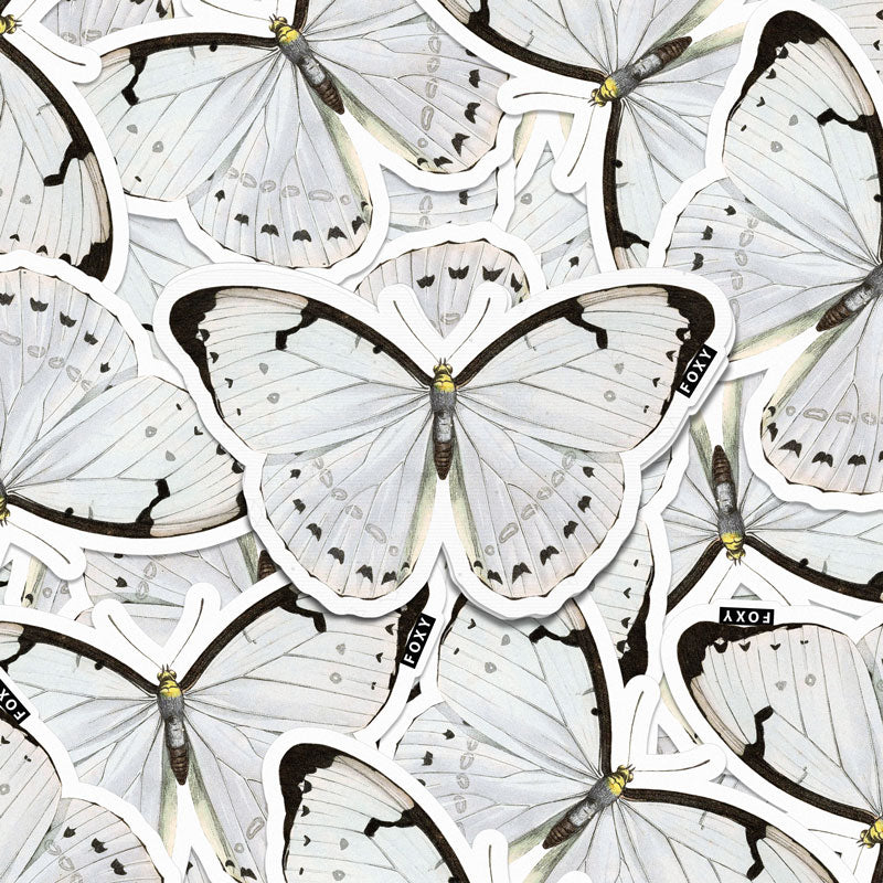 Mariposa Blanca - Sticker